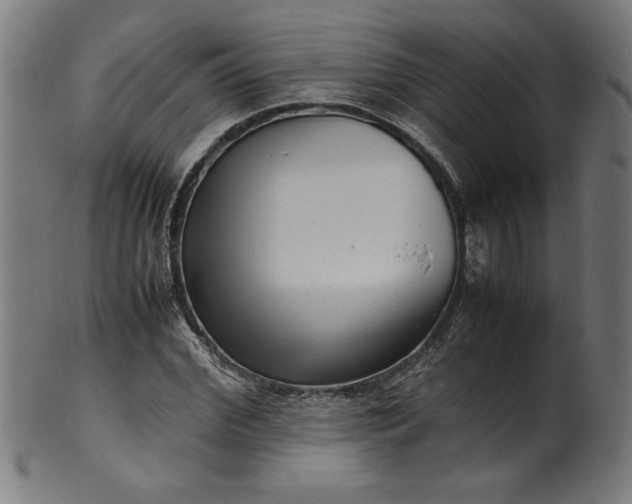 X0000099940972200806061514