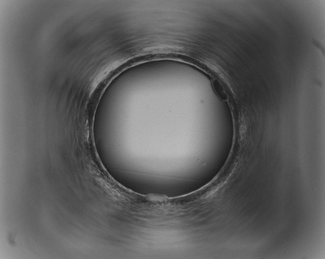 X0000099940973200806061514