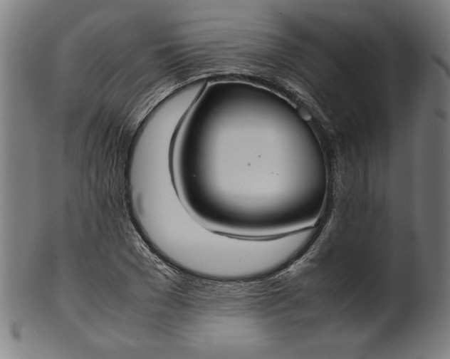 X0000099940977200806061514