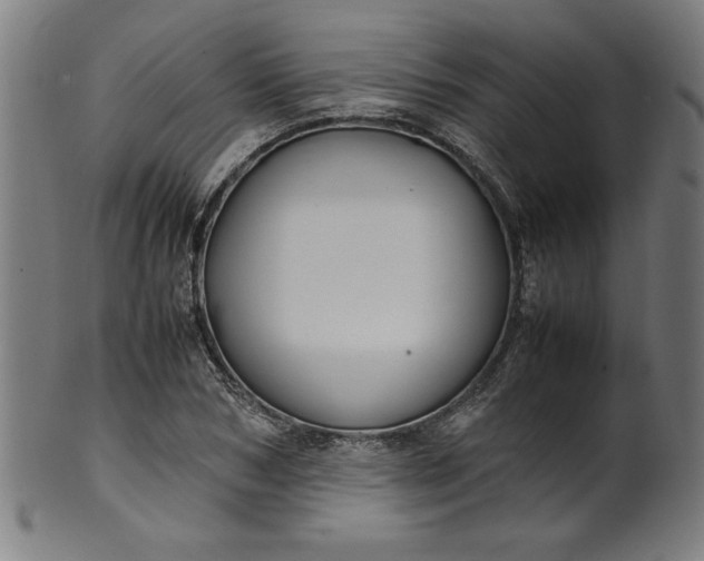 X0000099940978200806061514
