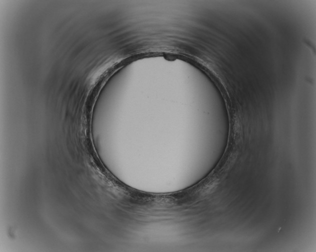 X0000099940979200806061514