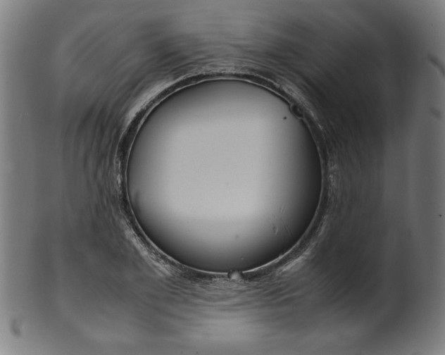X0000099940981200806061514