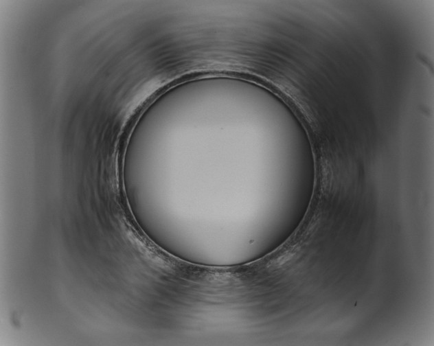 X0000099940982200806061514