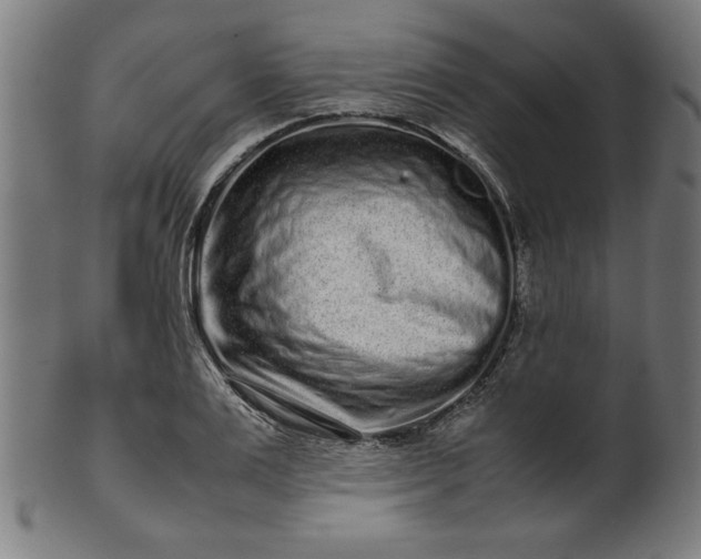 X0000099940983200806061514