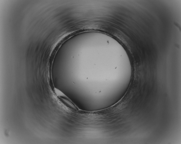 X0000099940984200806061514