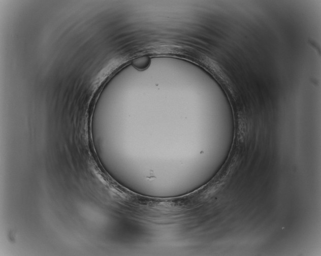 X0000099940986200806061514