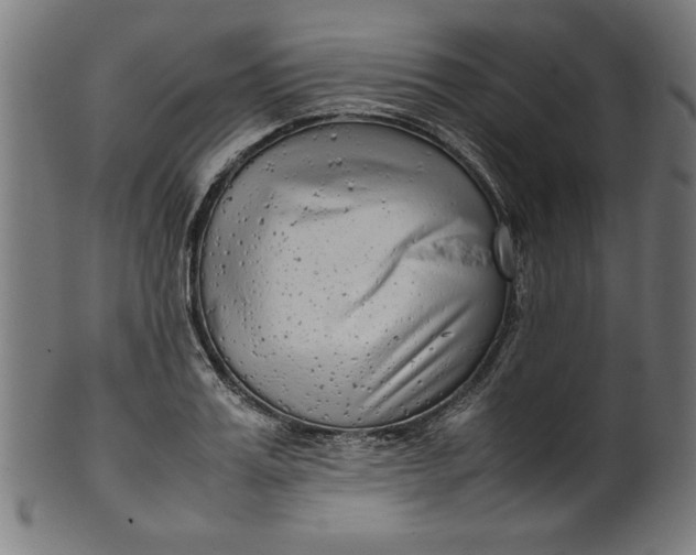 X0000099940987200806061514