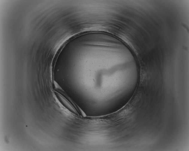 X0000099940988200806061514