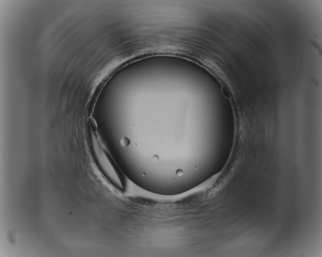 X0000099940989200806061514