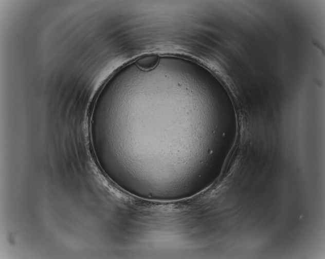X0000099940990200806061514