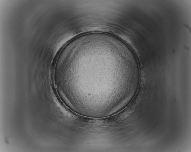 X0000099940991200806061514