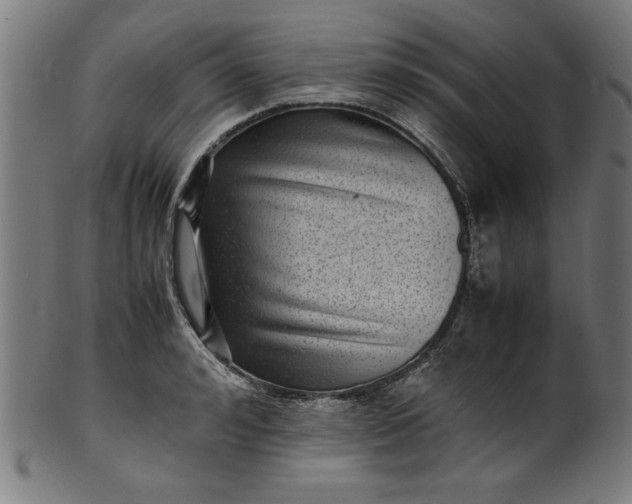 X0000099940992200806061514