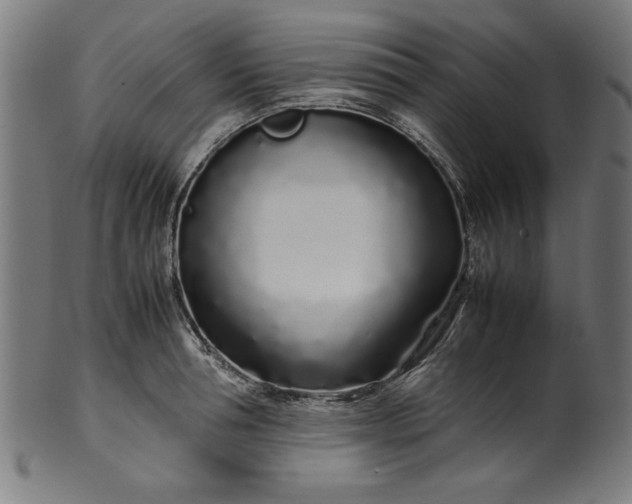 X0000099940994200806061514