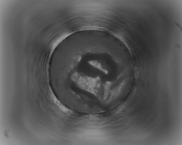 X0000099940995200806061514