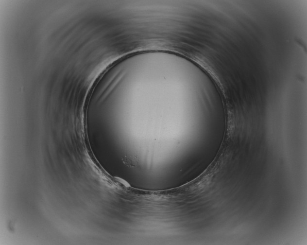 X0000099940996200806061514