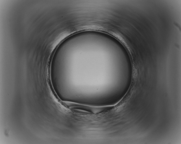 X0000099940999200806061514