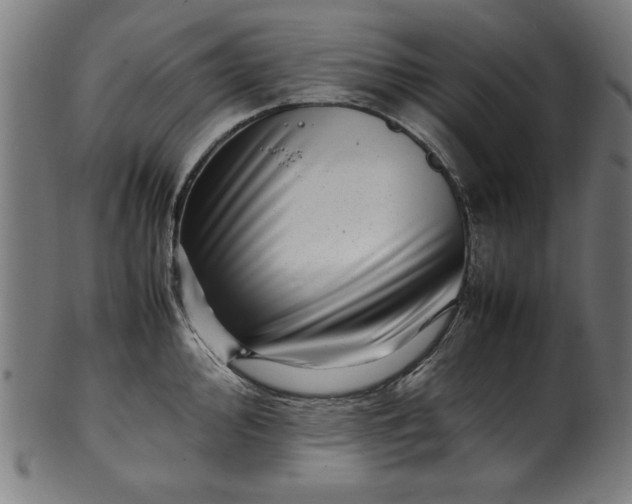 X0000099941000200806061514
