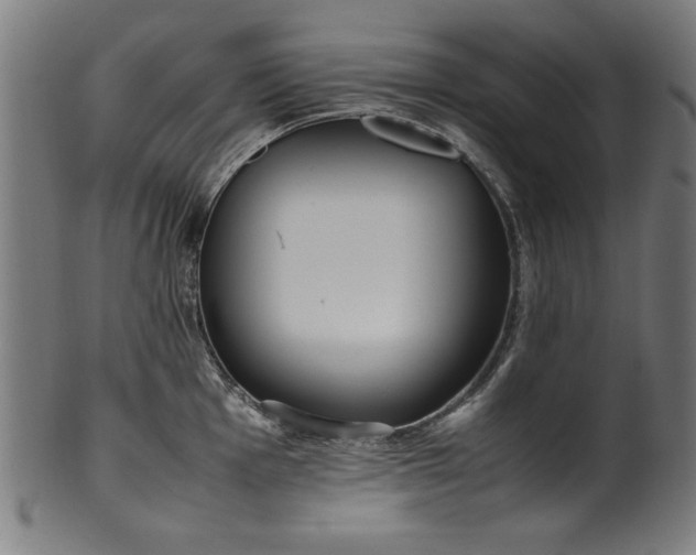 X0000099941001200806061514