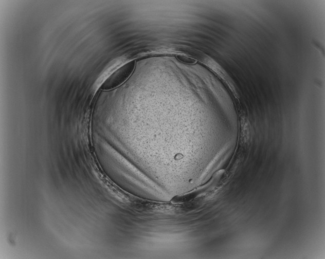 X0000099941002200806061514