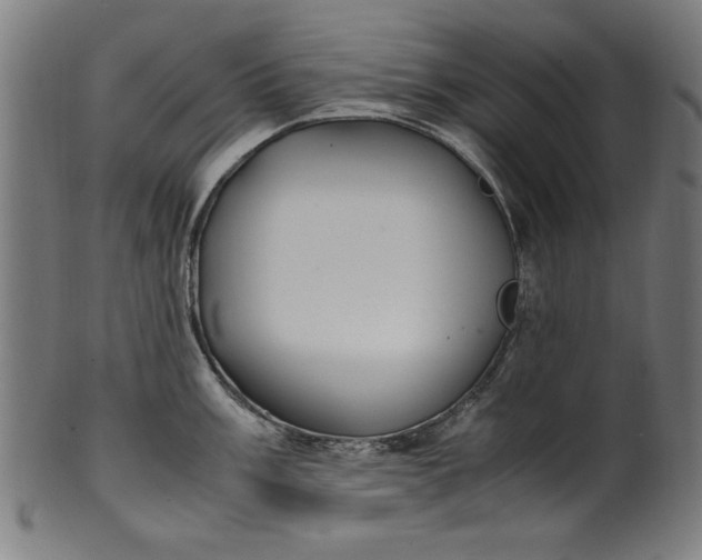 X0000099941003200806061514