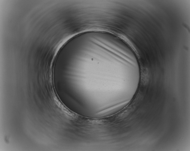 X0000099941004200806061514