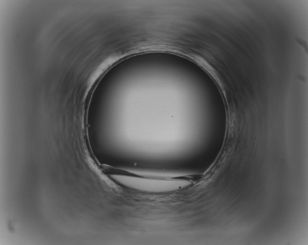 X0000099941005200806061514