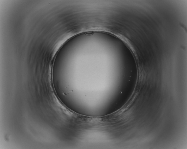 X0000099941006200806061514