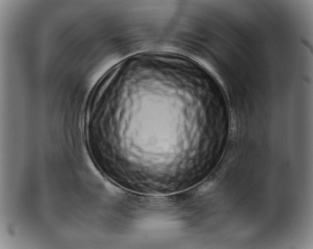 X0000099941007200806061514