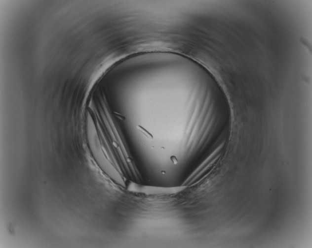 X0000099941008200806061514