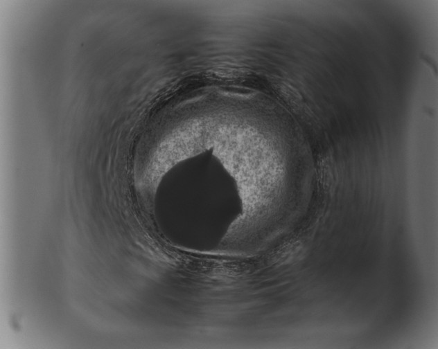 X0000099941009200806061513