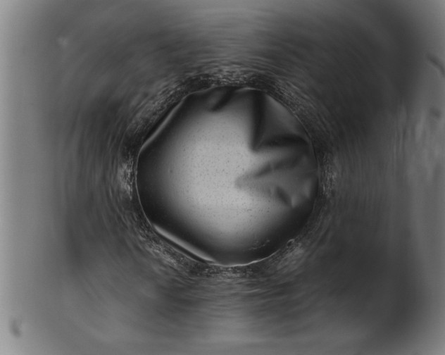 X0000099941010200806061513