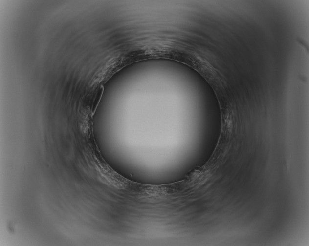X0000099941012200806061513