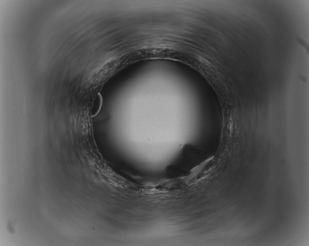 X0000099941014200806061513