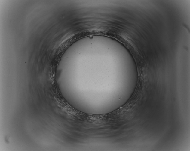 X0000099941015200806061513