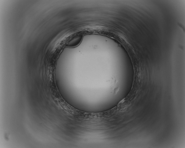 X0000099941016200806061513