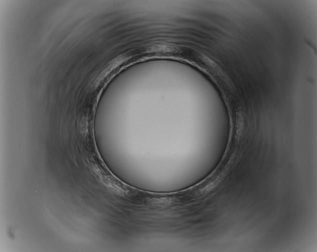 X0000099941017200806061513