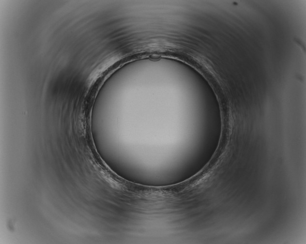 X0000099941018200806061513