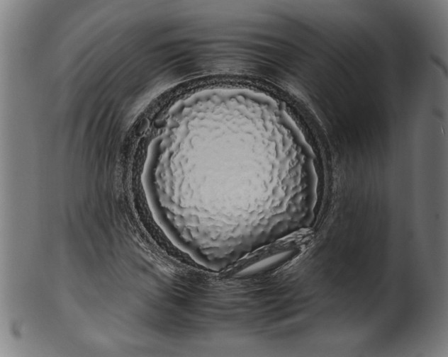 X0000099941019200806061513