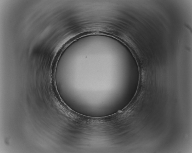 X0000099941020200806061513
