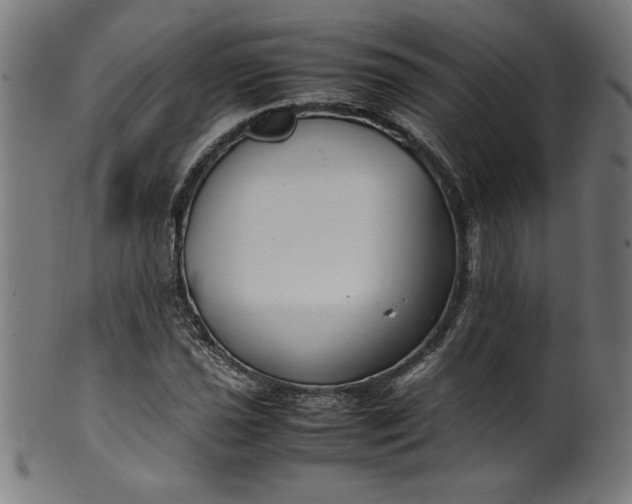 X0000099941021200806061513