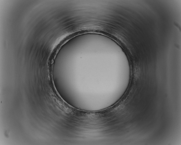 X0000099941022200806061513