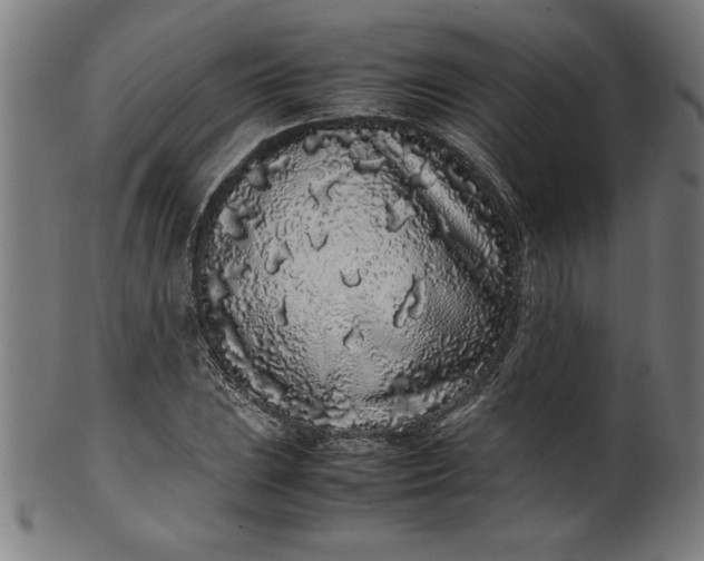 X0000099941023200806061513