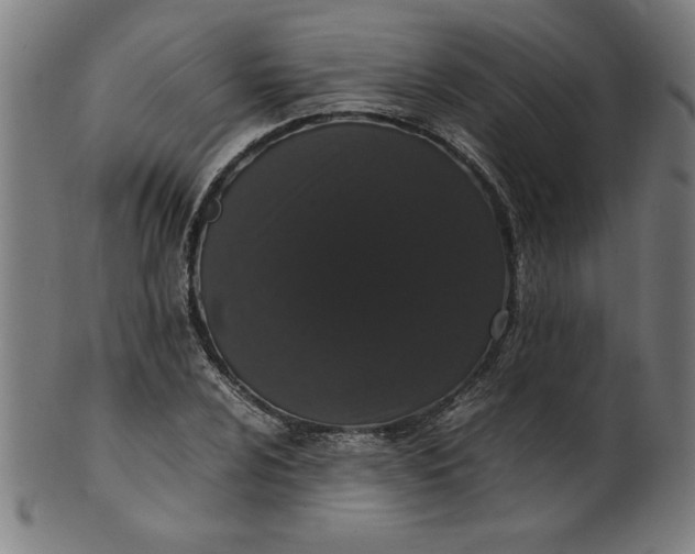 X0000099941024200806061513