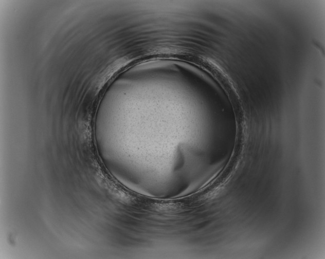 X0000099941025200806061513