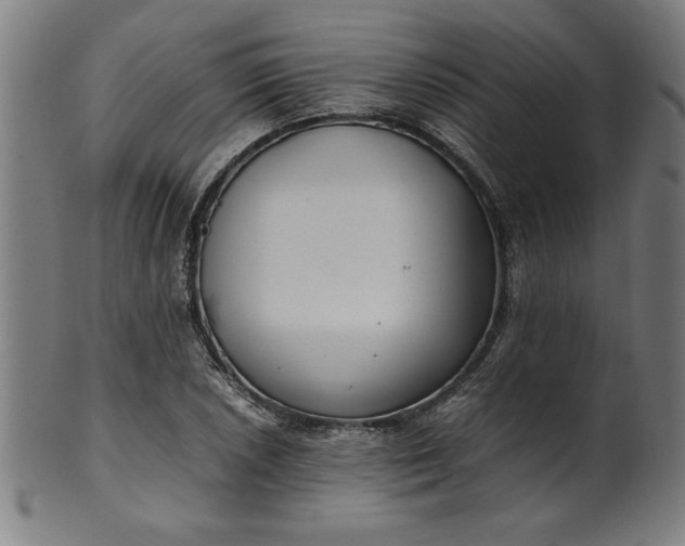 X0000099941026200806061513