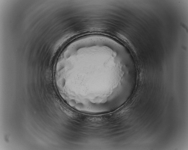 X0000099941027200806061513