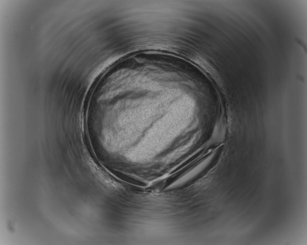 X0000099941028200806061513