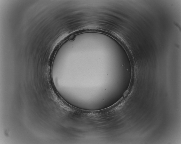 X0000099941029200806061513