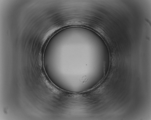 X0000099941030200806061513