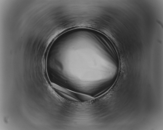 X0000099941032200806061513
